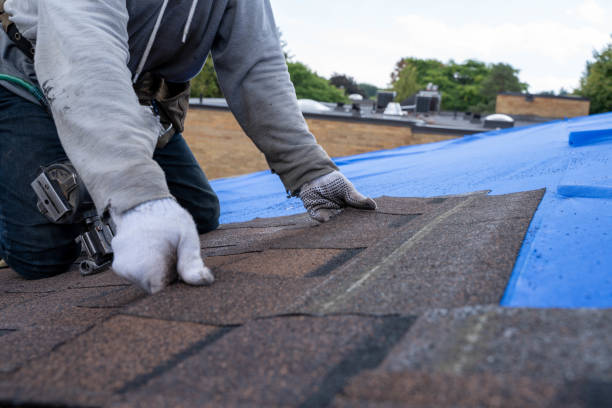 Best Storm Damage Roof Repair  in Mapleton, ND