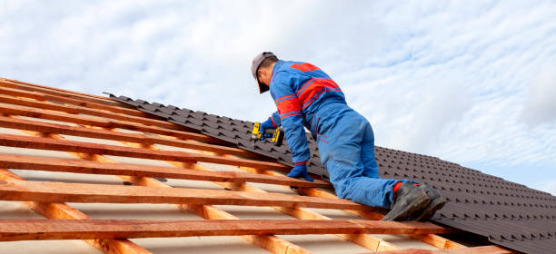 Best Rubber Roofing (EPDM, TPO)  in Mapleton, ND