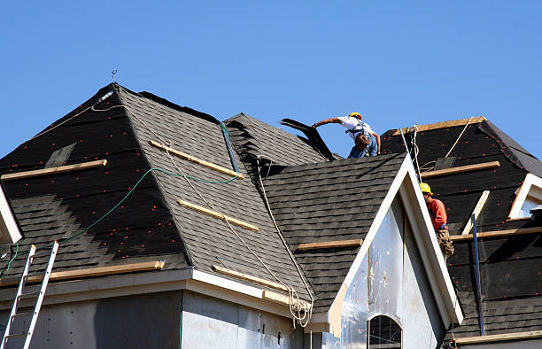 Best Roofing for New Construction  in Mapleton, ND