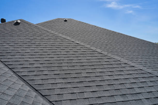 Best Gutter Installation and Repair  in Mapleton, ND
